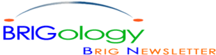 Brig Newsletter